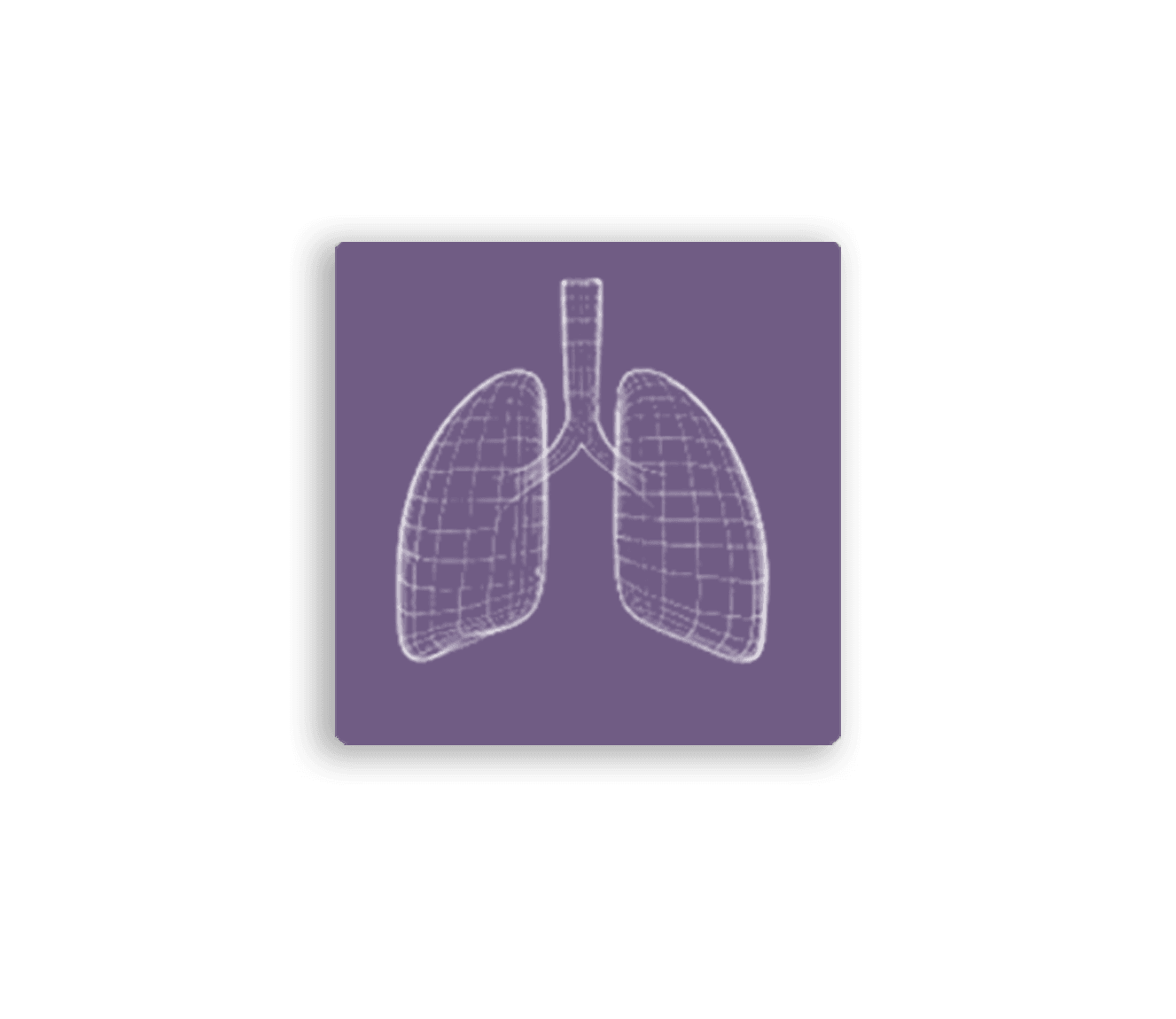 Lungs illustration