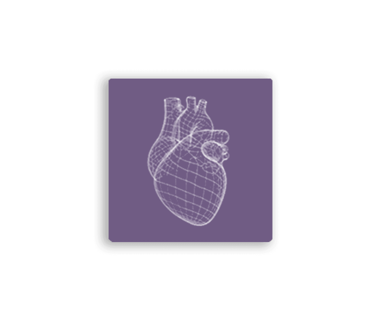 Heart illustration
